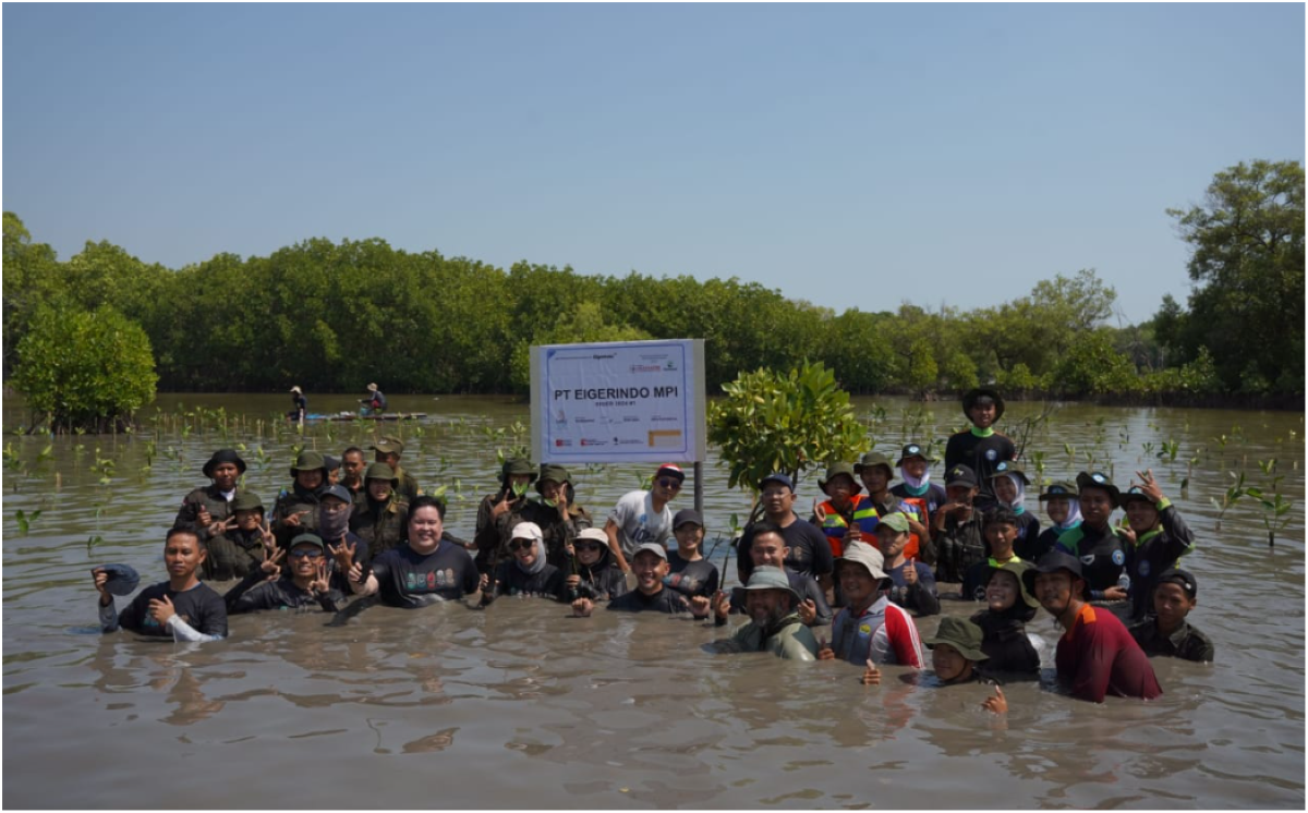 10.000 Pohon Mangrove dari EIGER untuk Selamatkan Pesisir Pantura