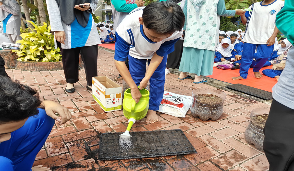 Urban Farming Goes to School.