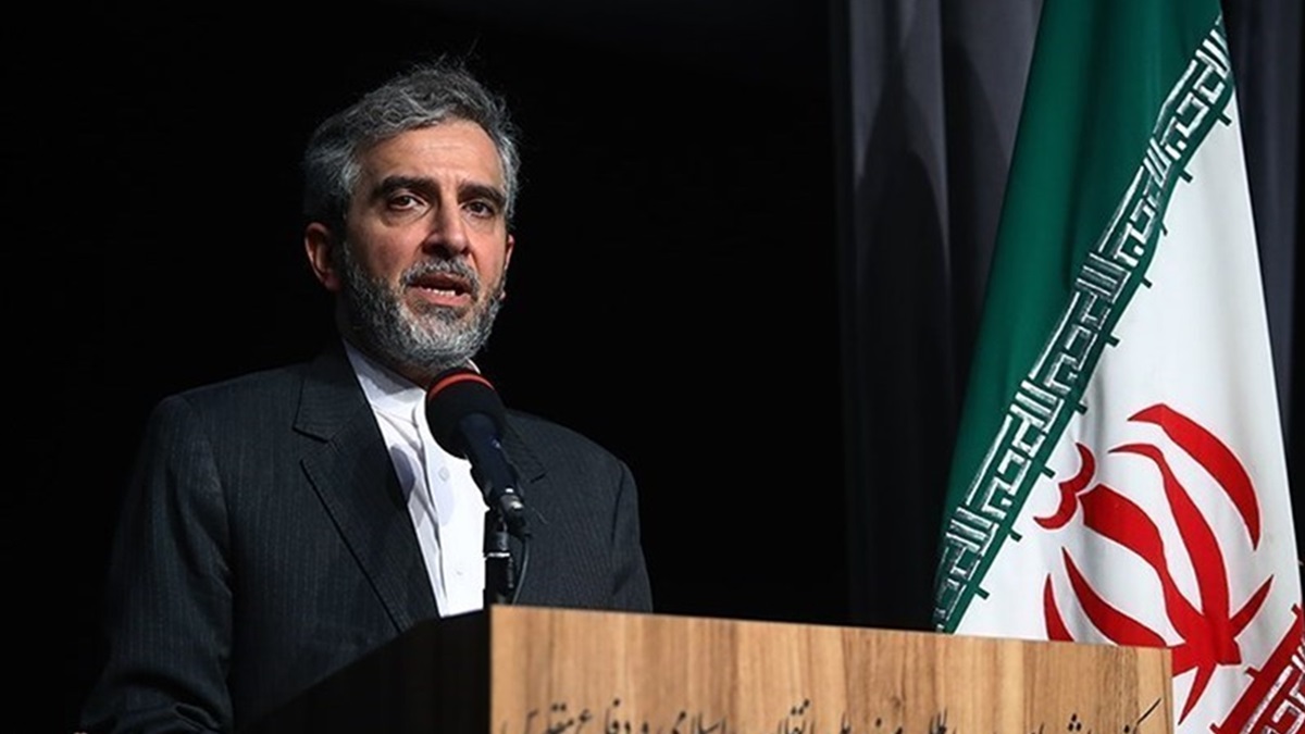 Menlu Iran yang bertindak, Ali Bagheri Kani, menyatakan kebijakan untuk memperkuat hubungan dengan Mesir dan negara-negara Islam lainnya