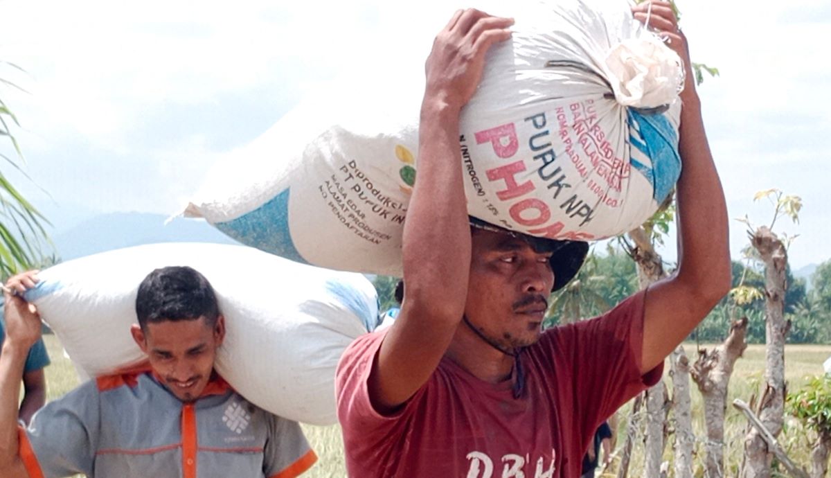 Para petani mengangkut hasil panen.