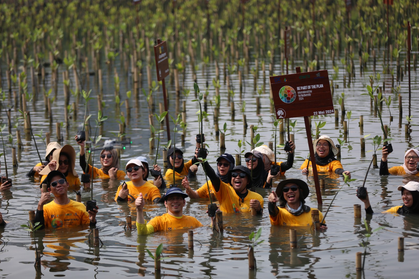 100 volunteers dari seluruh karyawan Grup ABM turut andil memperingati Hari Keanekaragaman Internasional di Muara Angke, Jakut.