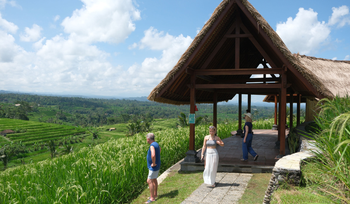 Sejumlah partisipan memandangi hamparan sawah saat field trip World Water Forum ke-10 2024 di kawasan wisata Jatiluwih, Tabanan, Bali.