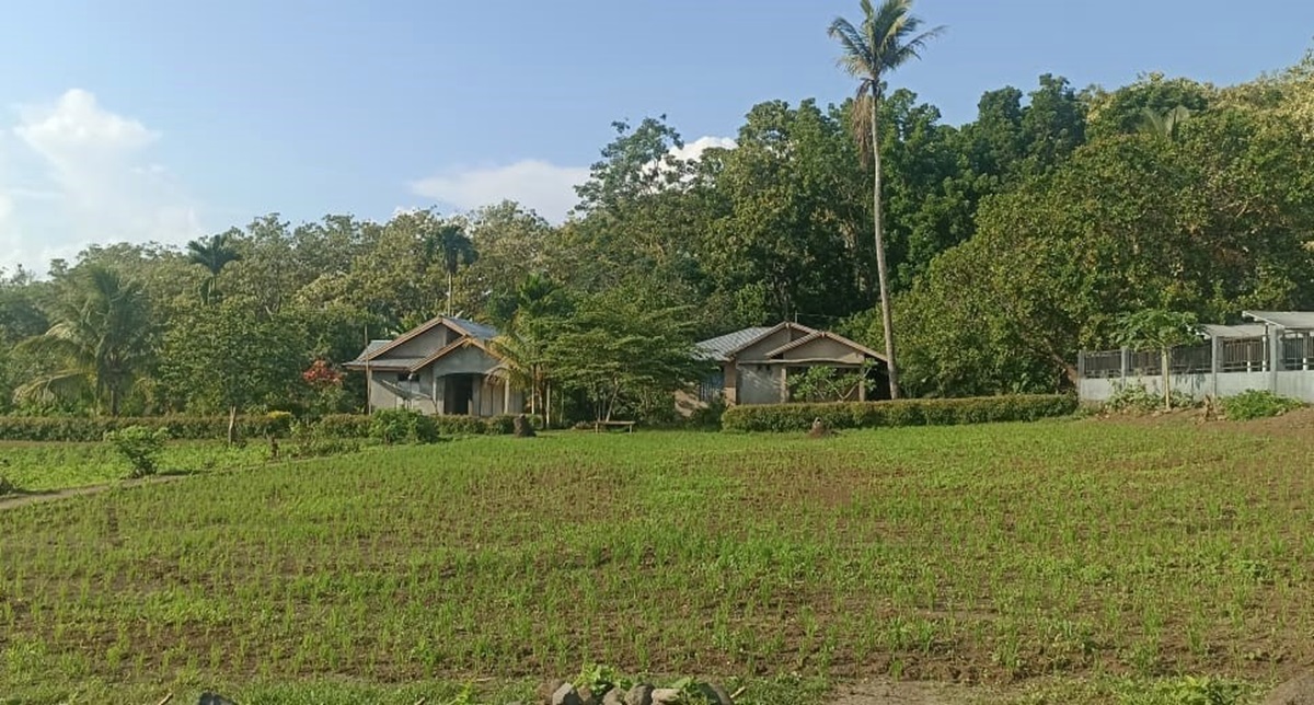 Kepala BI Perwakilan NTT Agus Sistyo Widjajati menyebutkan pertumbuhan lapangan usaha pertanian daerah itu pada triwulan I 2024 terkontraksi