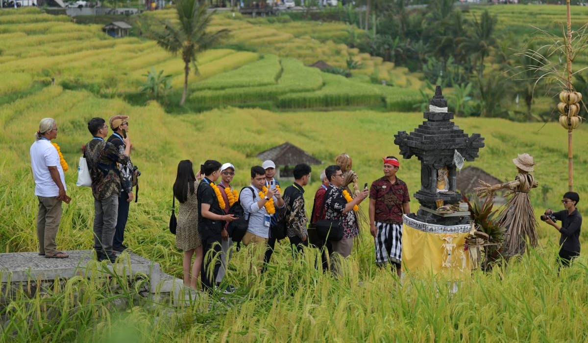 Sejumlah partisipan memandangi hamparan sawah saat field trip World Water Forum ke-10 2024 di kawasan wisata Jatiluwih, Tabanan, Bali.