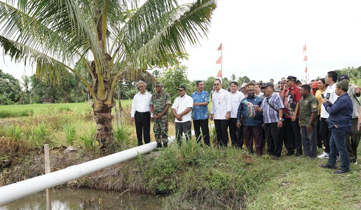MENTERI Pertanian (Mentan) Andi Amran Sulaiman meninjau pertanaman padi dan cetak sawah di Kabupaten Manokwari, Provinsi Papua Barat.