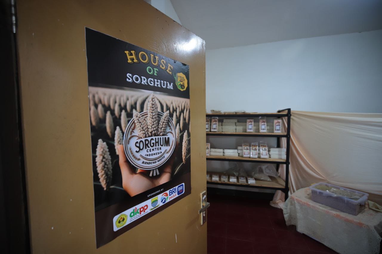 Program Sein Farm menjadi pusat penelitian dan pengembangan sorghum di Kota Bandung