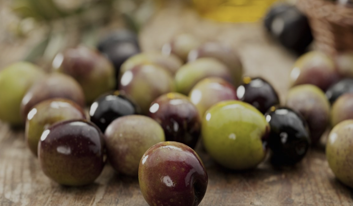 Manfaat buah zaitun