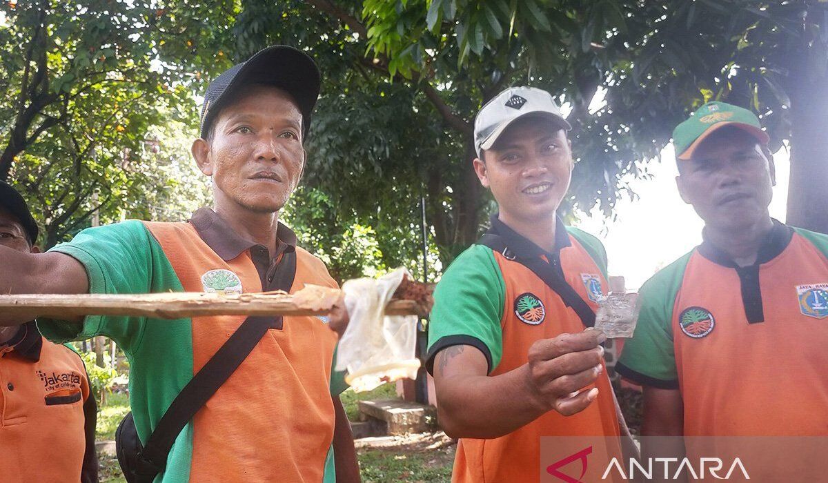 Petugas memperlihatkan kondom bekas yang ditemukan di RTH Tubagus Angke, Jakarta Barat.