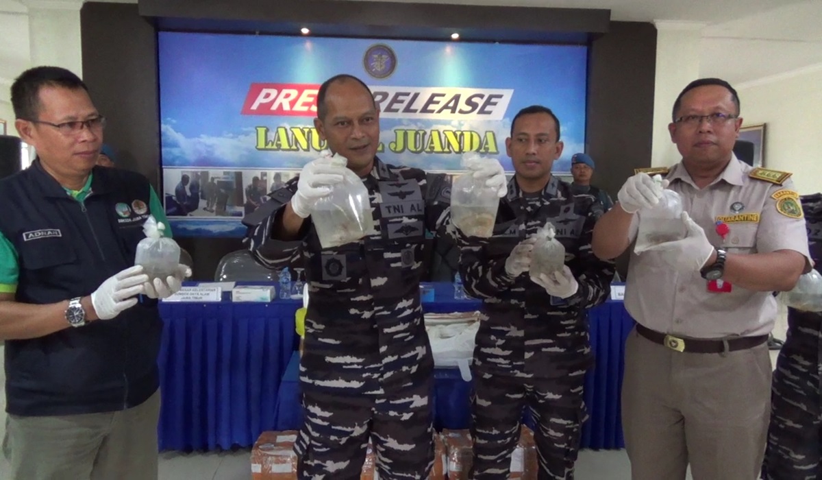 Rilis upaya penyelundupan terumbu karang ke Malaysia dari Bandara Juanda.