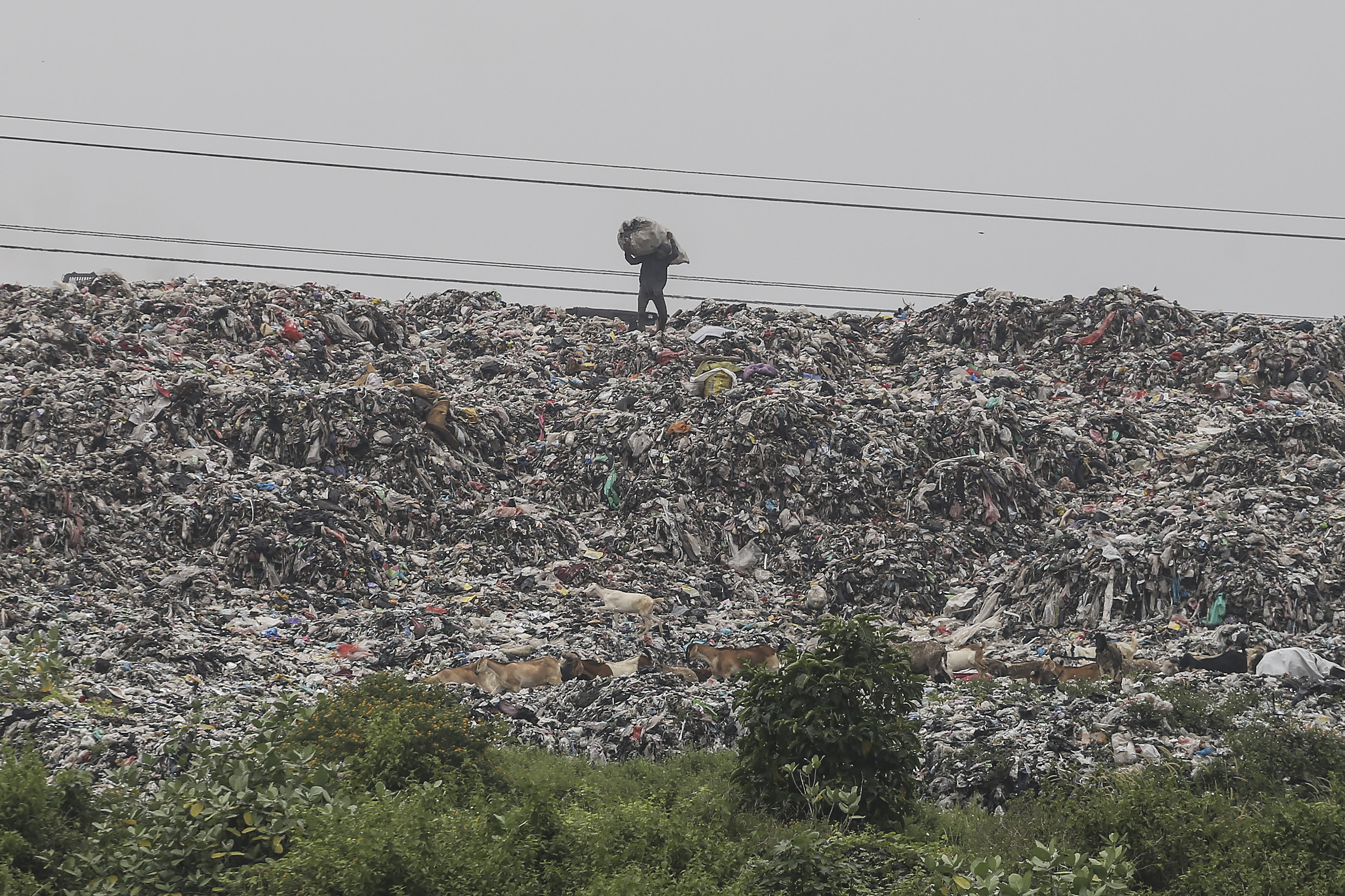 Pemulung mengangkut sampah di TPA Cipayung, Depok, Jawa Barat, beberapa waktu lalu. 