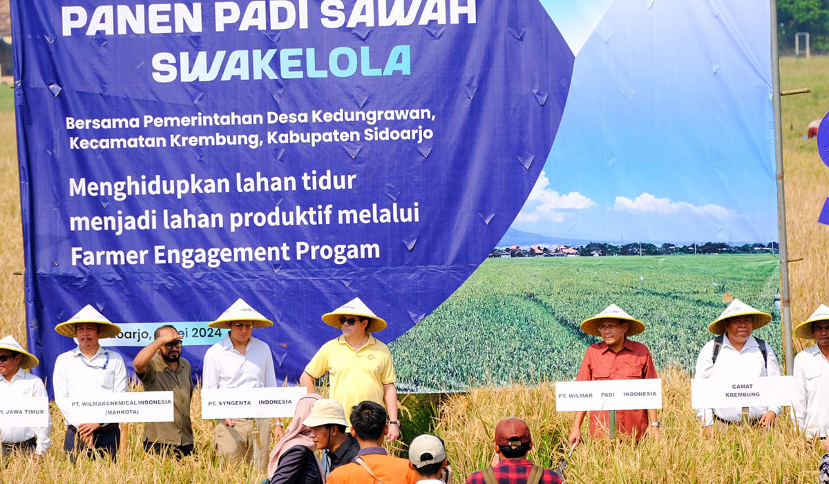 PT Wilmar Padi Indonesia (WPI) berhasil melakukan pendampingan kepada petani mengolah lahan tidak produktif seluas 6 hektare.