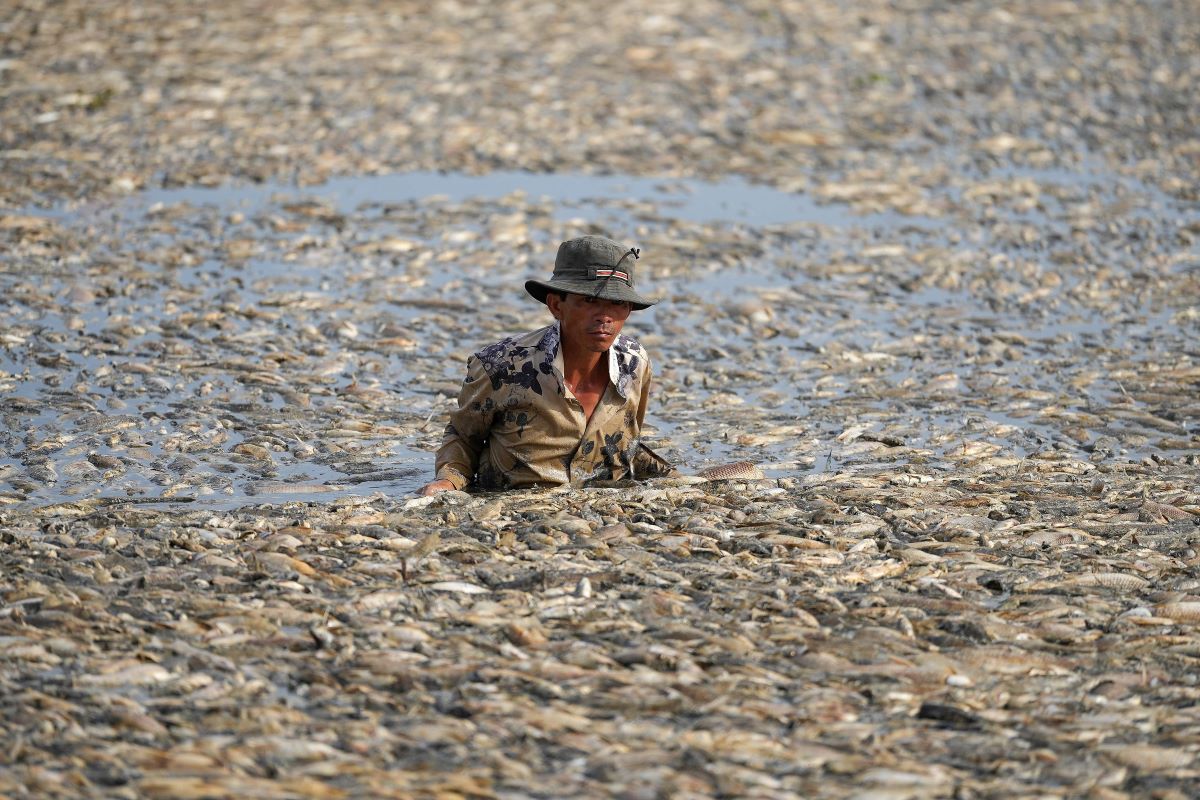 Seorang warga berada di tengah ribuan ikan mati di Waduk Song May, Vietnam.