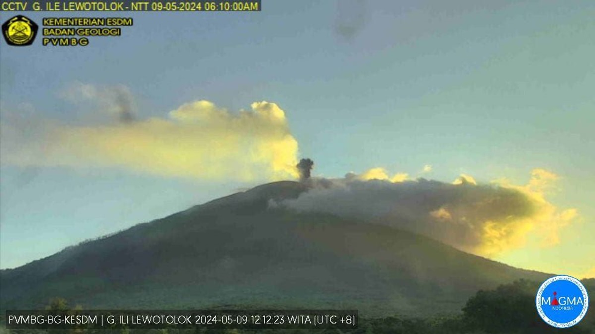 Gunung Lewotolok di Kecamatan Ile Ape, Kabupaten Lembata, NTT, erupsi sebanyak 23 kali selama 12 jam terakhir.