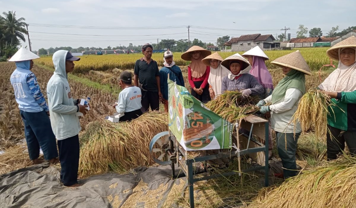 Direktur Jenderal Tanaman Pangan Kementerian Pertanian Suwandi melakukan kunjungan kerja ke Kecamatan Wates Kabupaten Kulonprogo. 