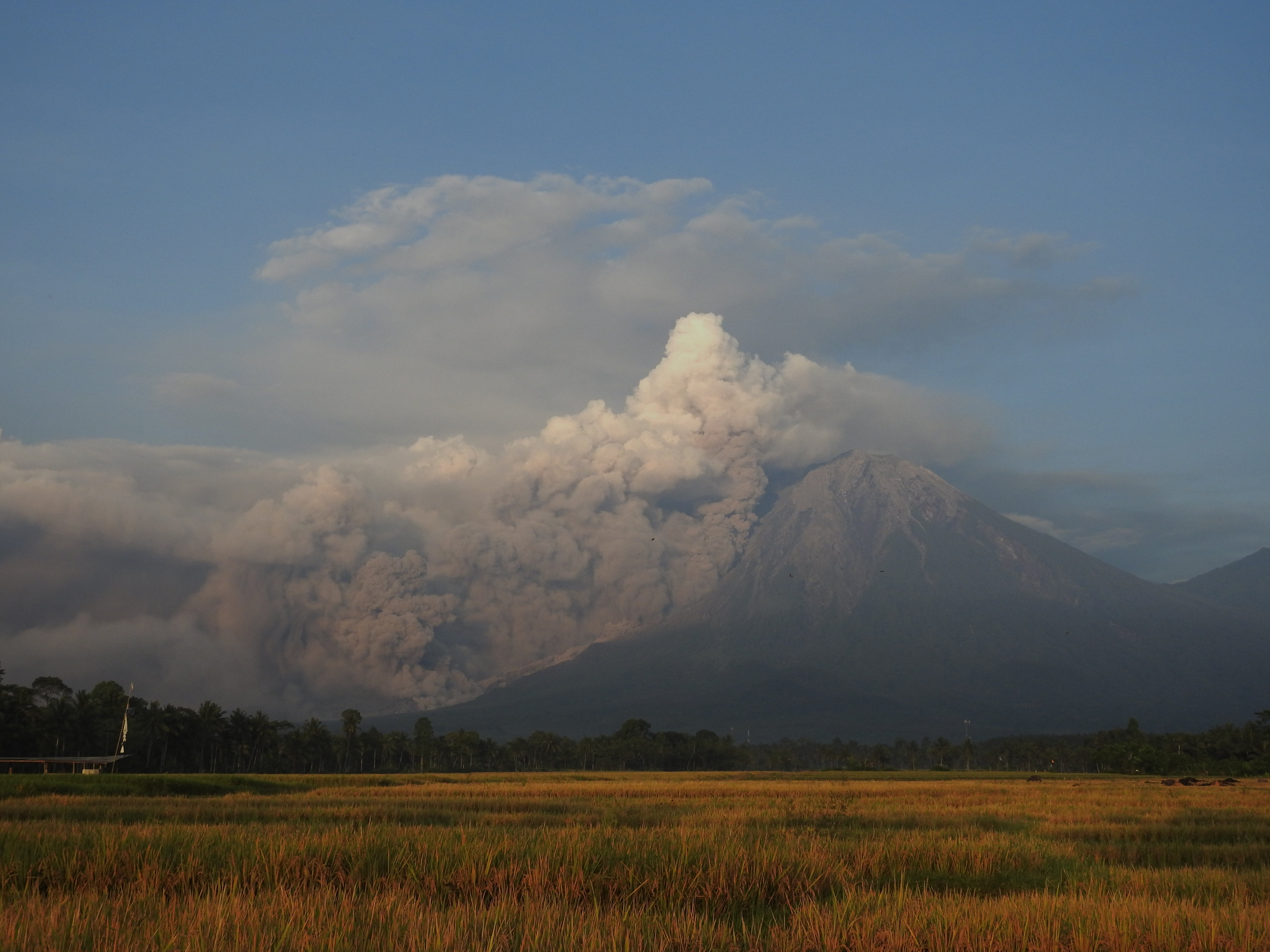 ilustrasi erupsi Gunung Semeru