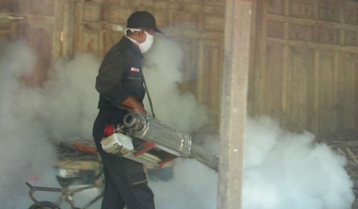 22 Warga Klaten Meninggal Dunia Akibat DBD di Tahun 2024