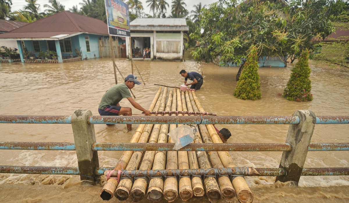 Ratusan Hektare Sawah Terdampak Banjir di Bengkulu
