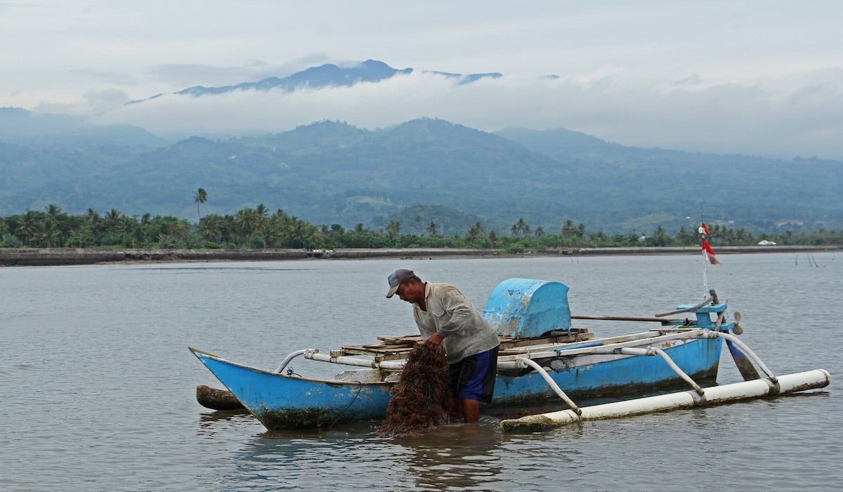Budi daya ikan di Laut