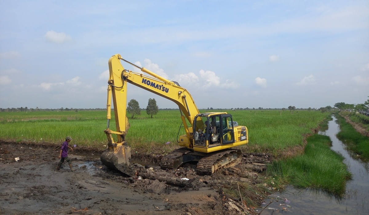 Ilustrasi lahan rawa dan persawahan.