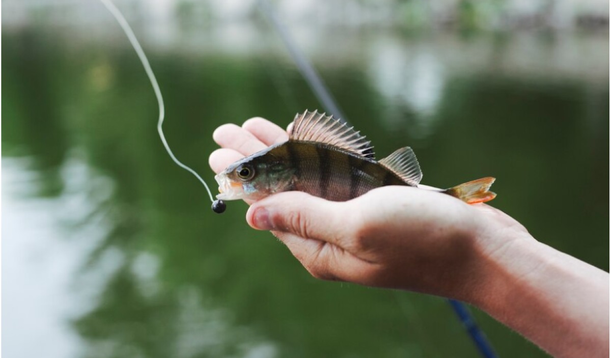 Judi Tembak Ikan Resahkan Warga Bandar Nagori Simalungun