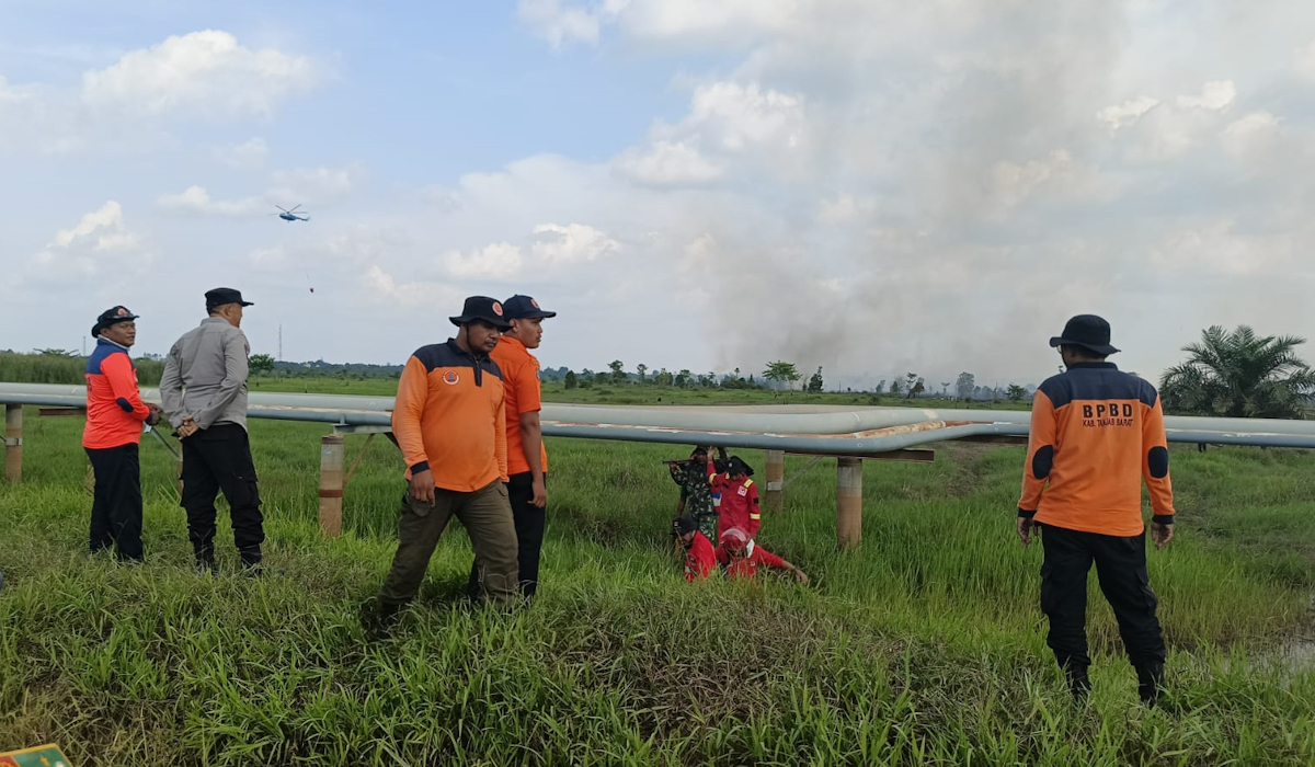 kebakaran lahan gambut jambi 