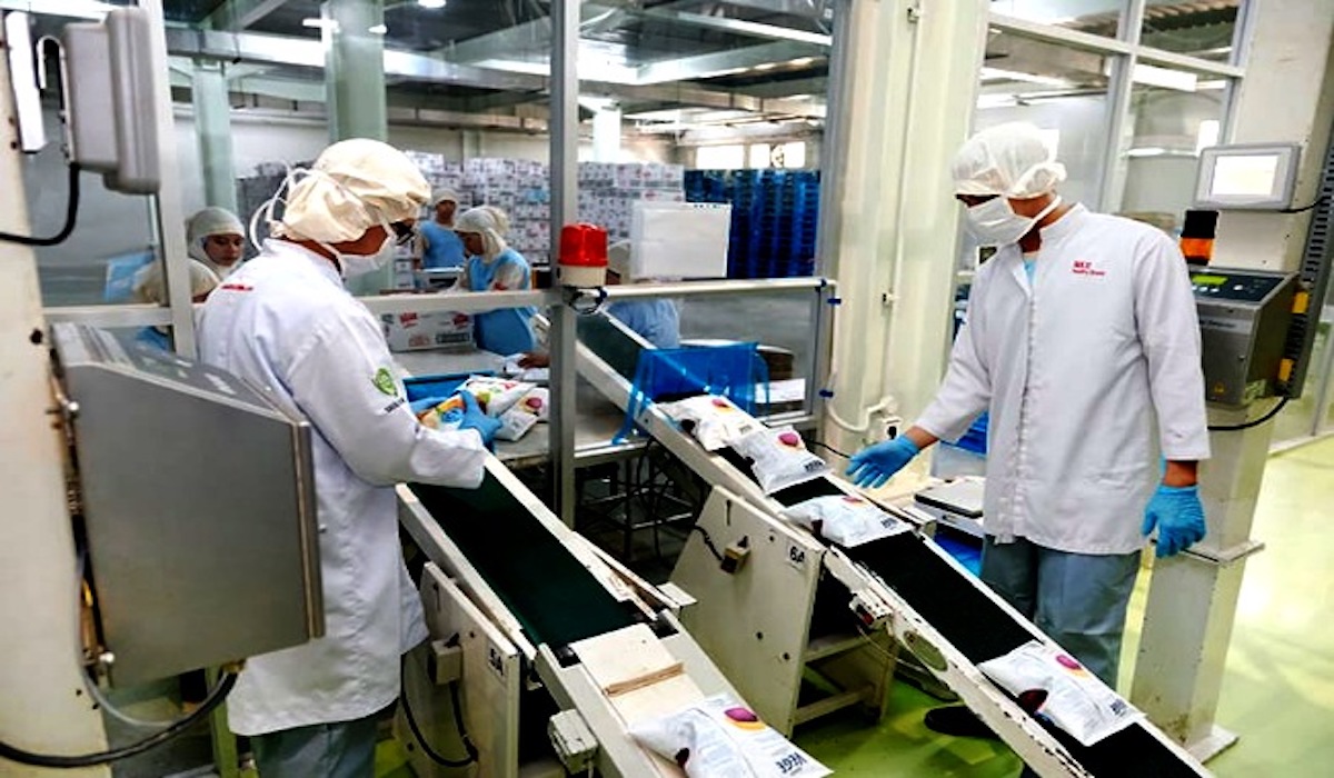 Aktifitas produksi makanan ringan (snack) PT Maxindo