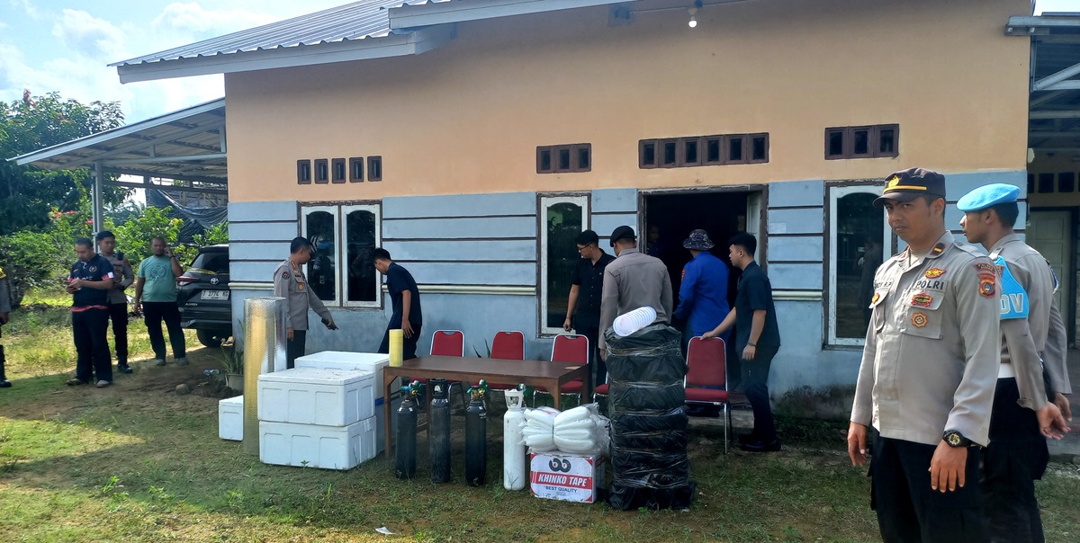 Sebanyak 177 ribu benih lobster berhasil diselamatkan Polda Babel dari upaya penyelundupan ke beberapa negara. 