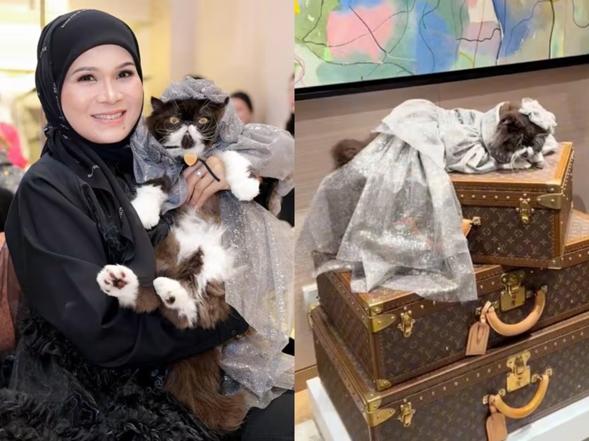 Seorang pengusaha Malaysia, Haliza Maysuri, mengadakan pesta ulang tahun mewah untuk kucing peliharaannya di toko Louis Vuitton di KL