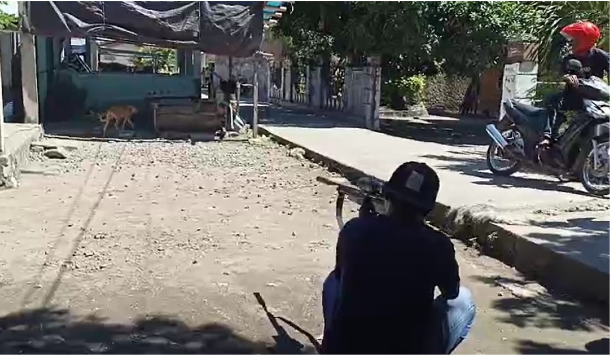 Petugas membidik anjing yang diduga mengidap rabies.