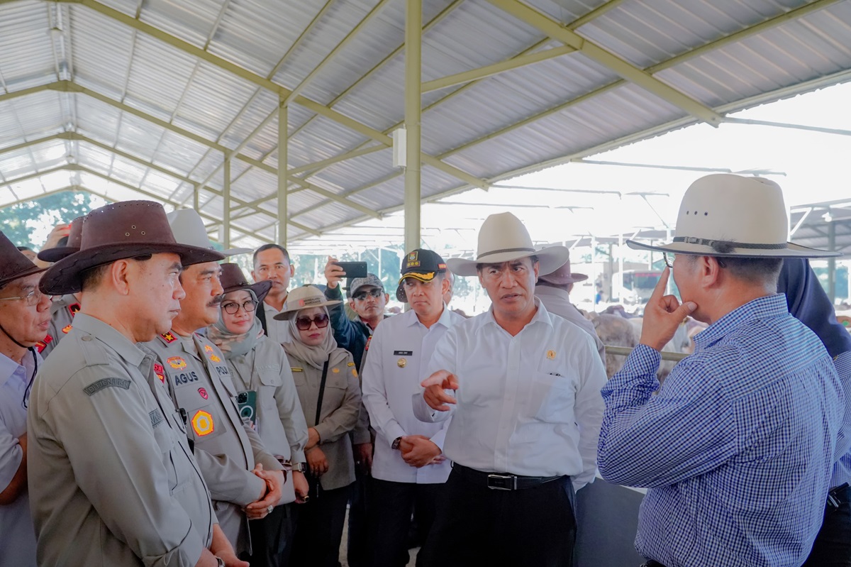 Kementan Pastikan Surplus Hewan Kurban untuk Idul Adha 2024