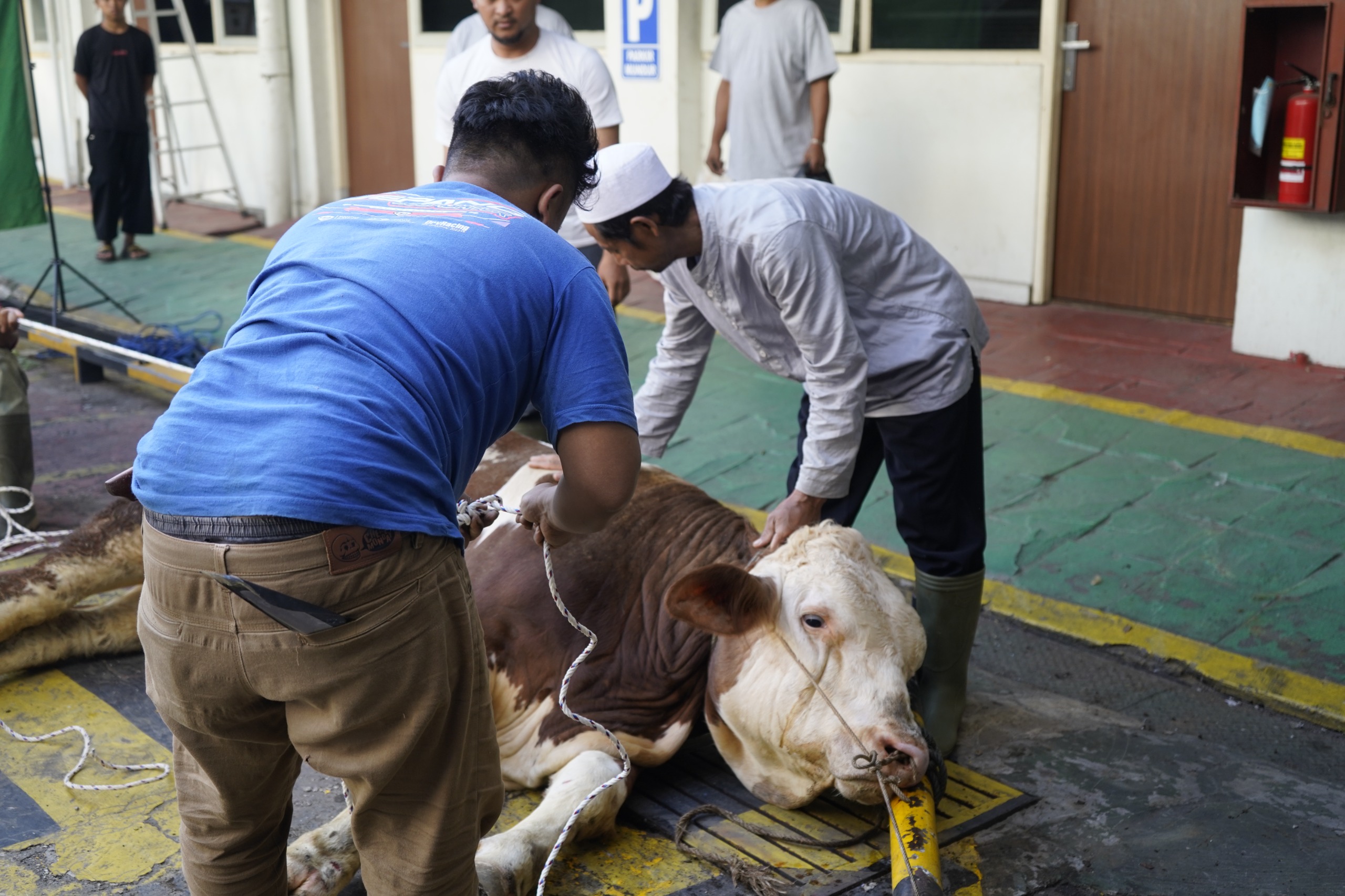 Pemotongan hewan kurban di kantor PLN Jawa Barat