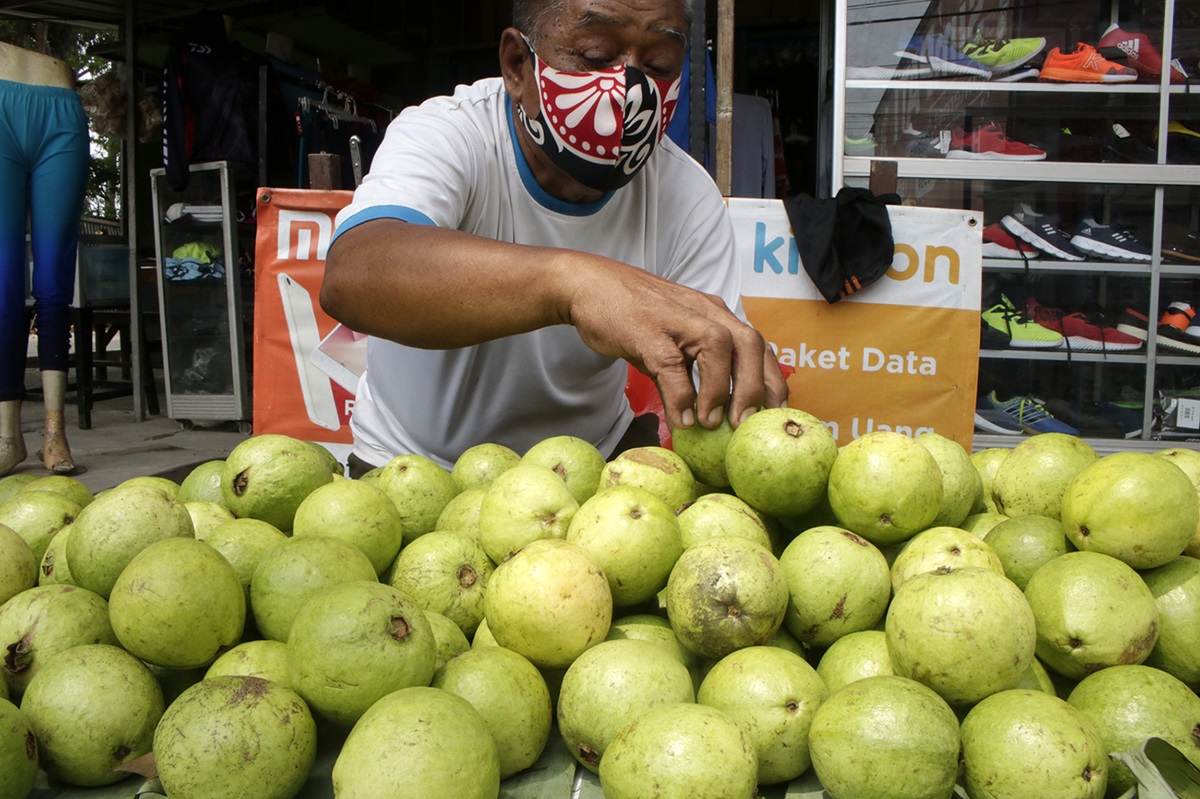 Benarkah Jambu Biji Ampuh Sembuhkan DBD? Simak Penjelasannya