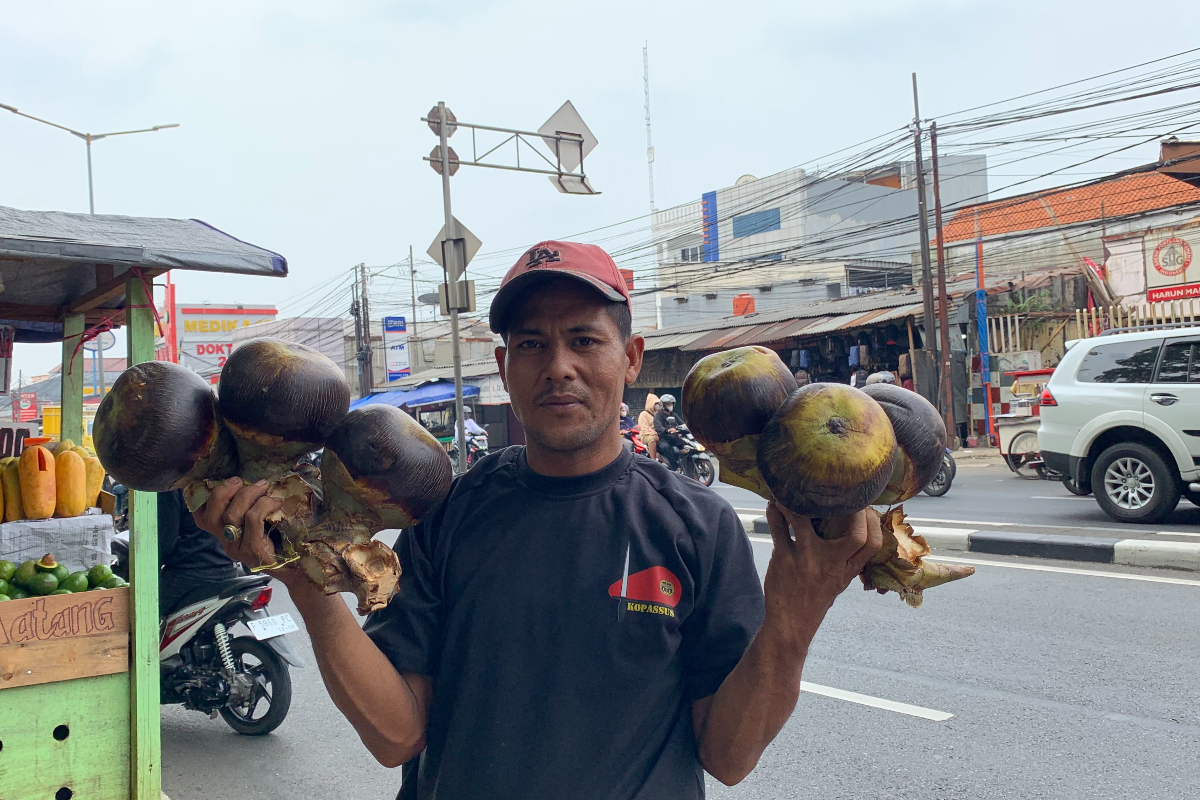 Ini Manfaat Buah Lontar bagi Kesehatan Tubuh
