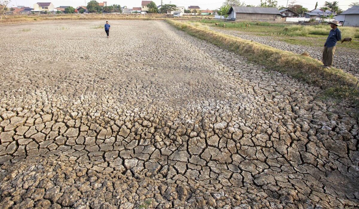 2.000 Hektar Lahan Produktif di Subang Kekeringan