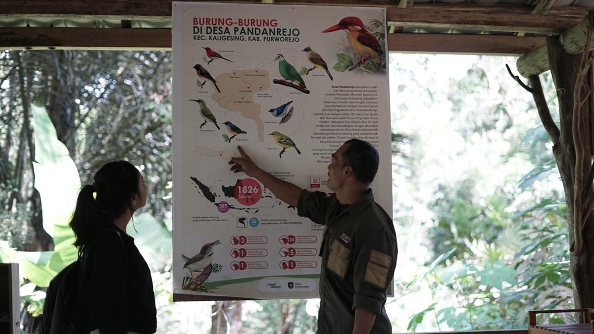 Desa Wisata Pandanrejo di Purworejo menawarkan beragam atraksi alam bagi wisatawan, yang berkunjung ke Kawasan Perbukitan Menoreh. 