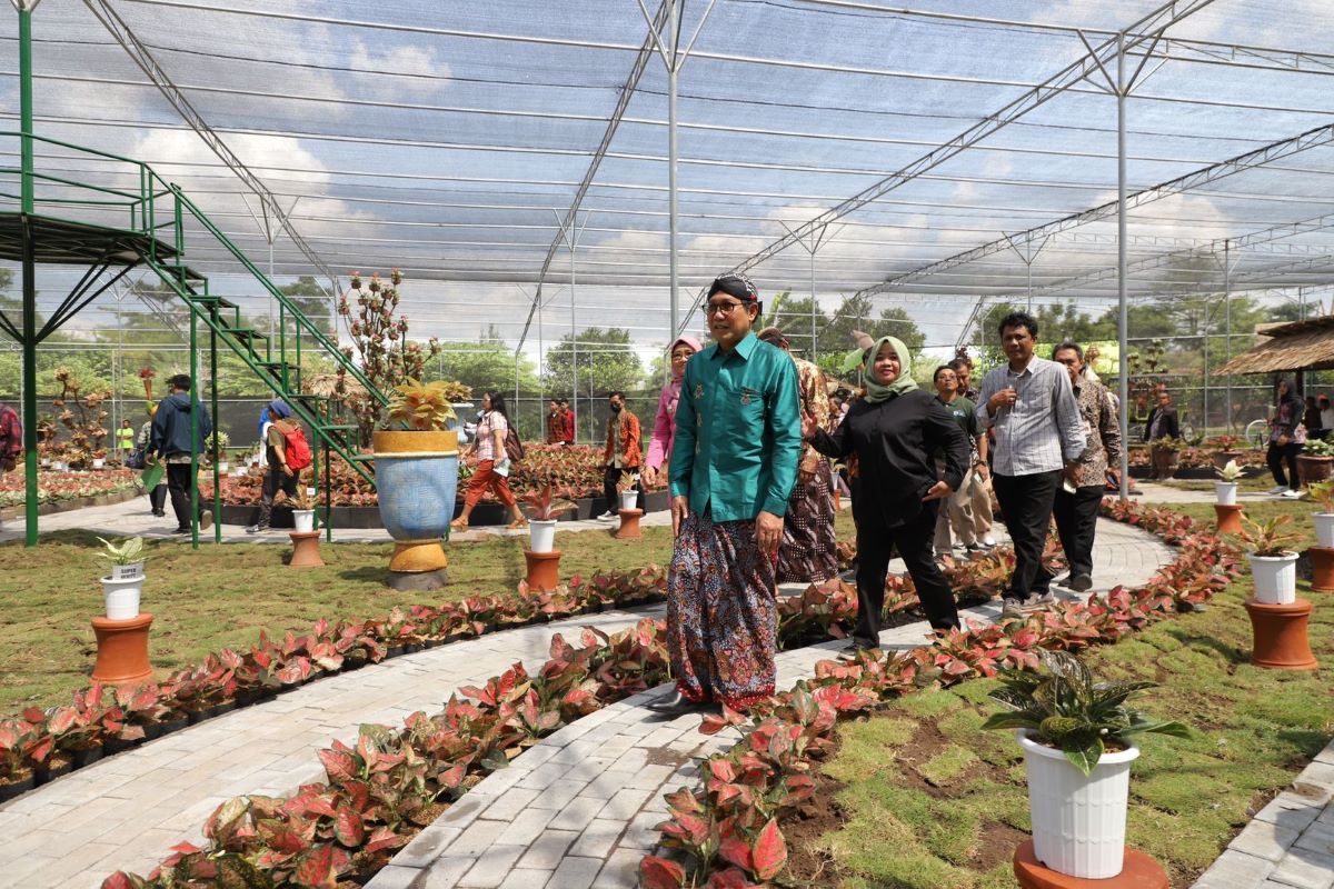 MENTERI Desa, Pembangunan Daerah Tertinggal dan Transmigrasi (PDTT) Abdul Halim Iskandar meresmikan Aglaonema Park.
