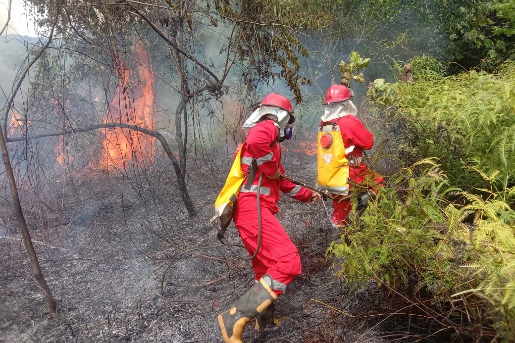 Petugas memadamkan api di kawasan hutan