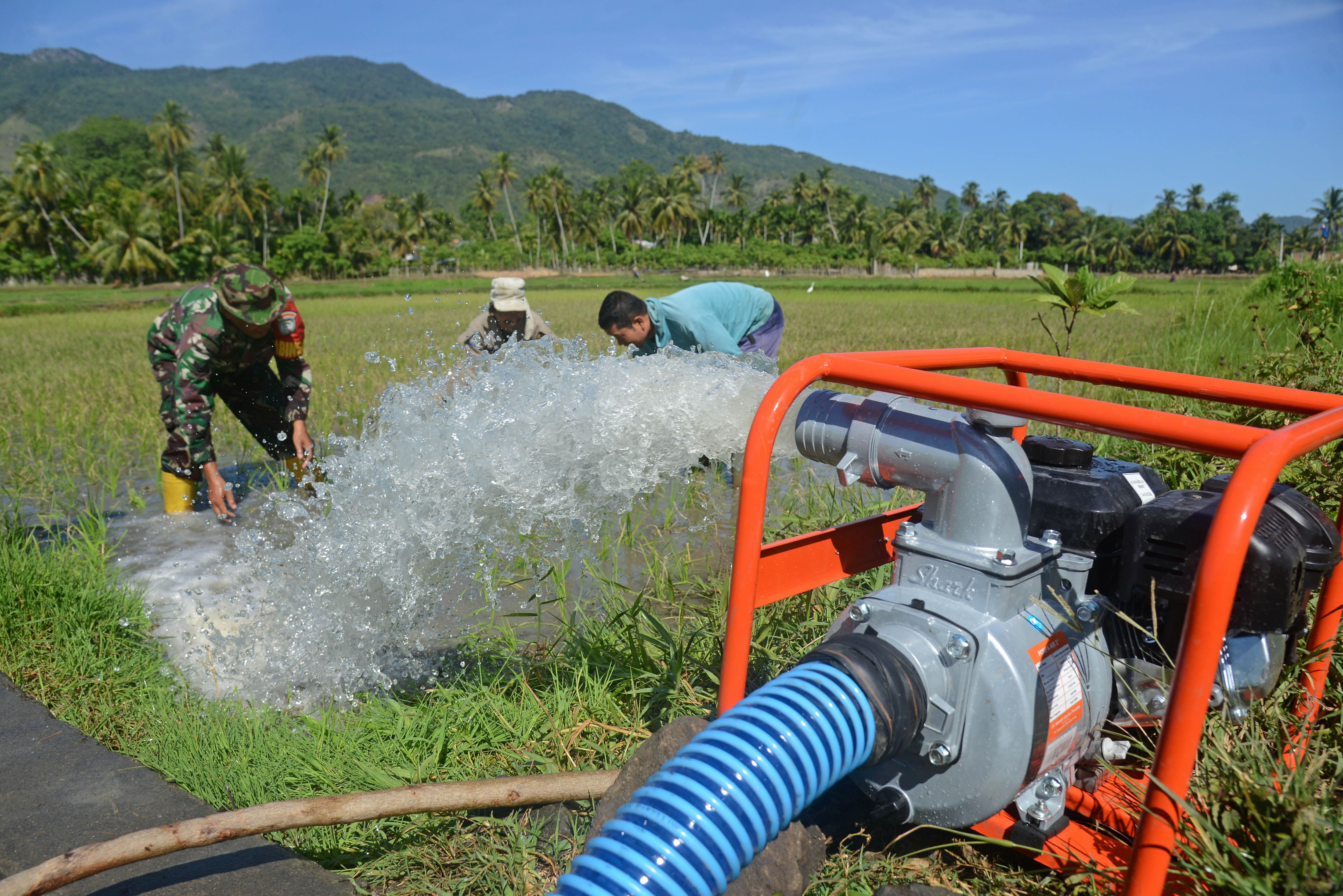 Petani bersama anggota Babinsa menggunakan mesin pompa untuk mendistribusikan air