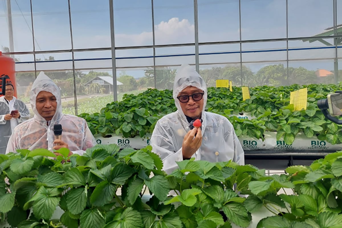 Kepala BPPSDMP Kementan Dedi Nursyamsi (kanan) di sela-sela Pelatihan Sejuta Petani dan Penyuluh di Malang, Jawa Timur.