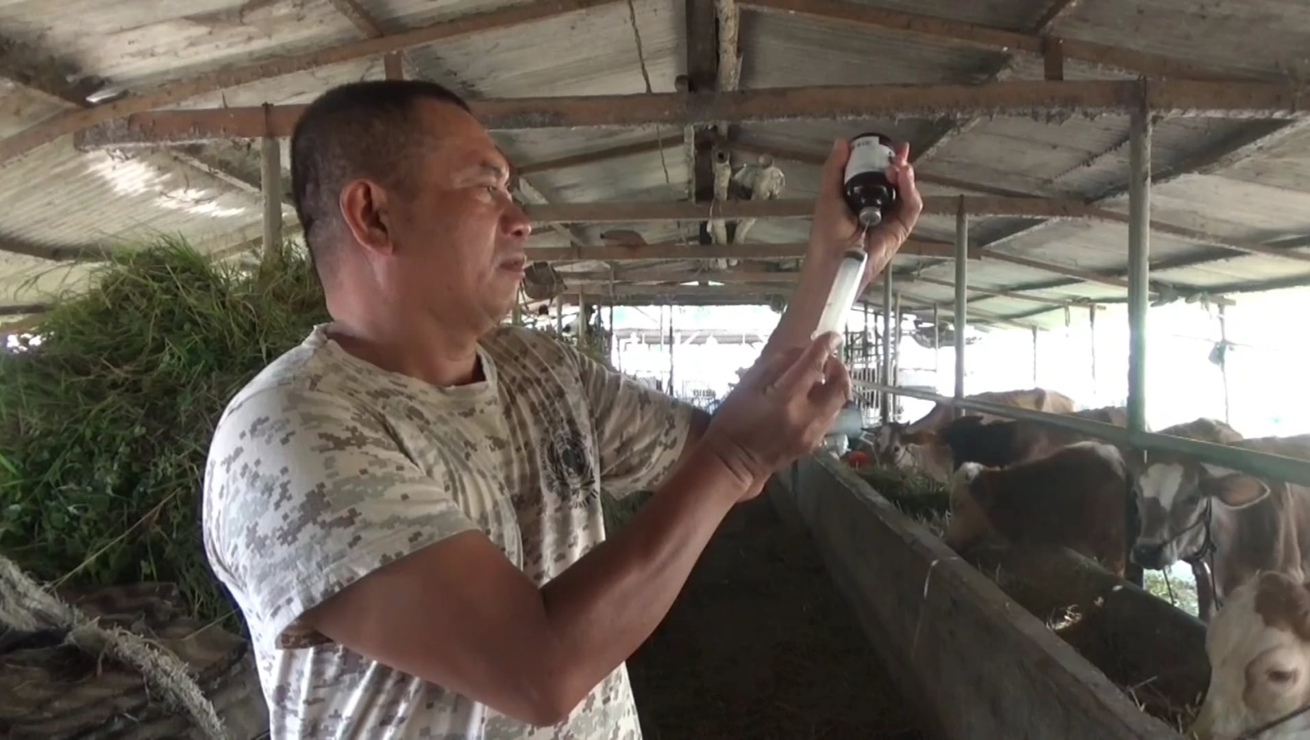 Waspada Penyakit Parasit Hewan yang Bisa Menular ke Manusia. 