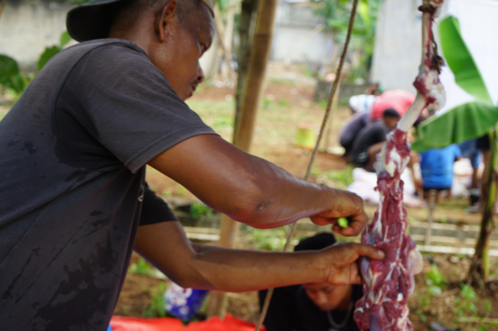Polri salurkan daging kurban untuk 2.500 kepala keluarga