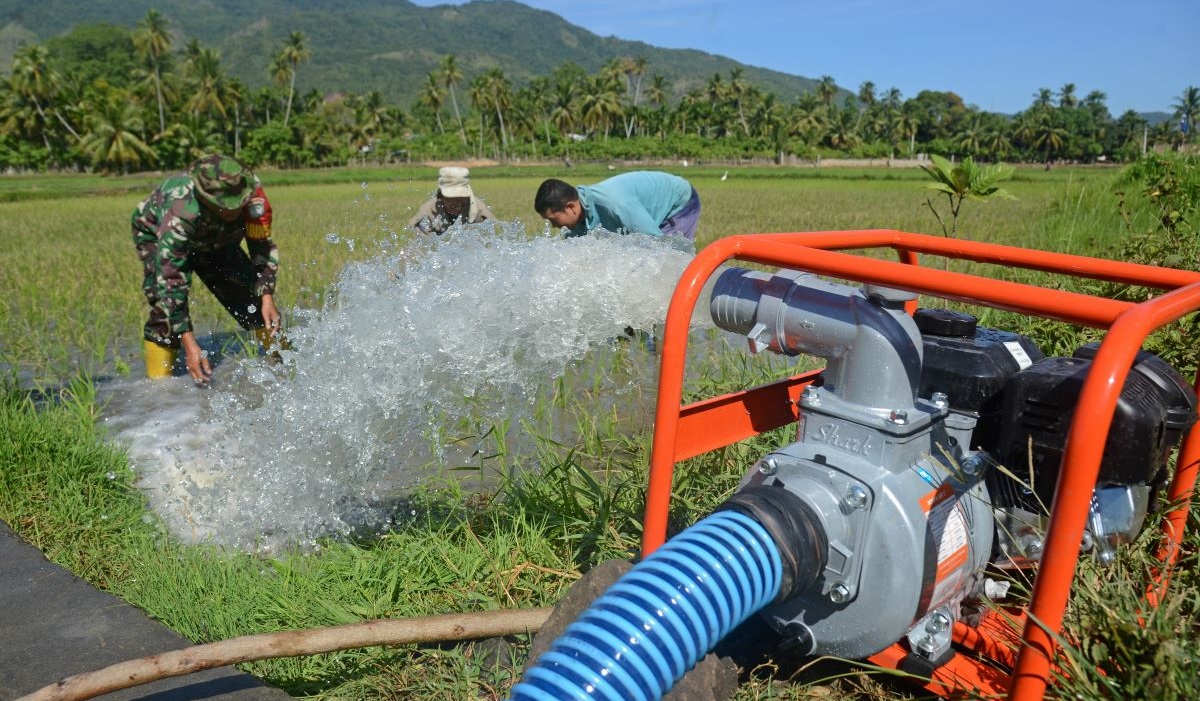 Petani bersama anggota Babinsa menggunakan mesin pompa untuk mendistribusikan air ke lahan sawah yang baru ditanami padi.