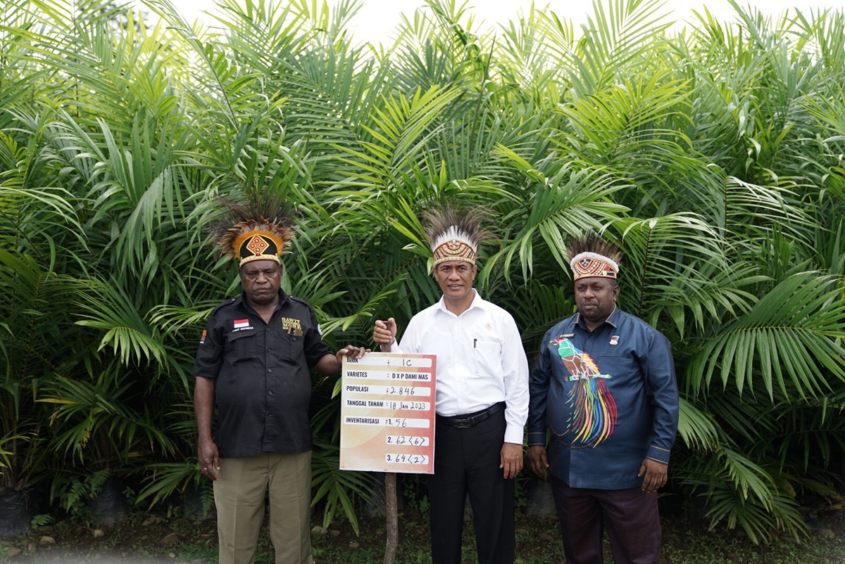 Menteri Pertanian Andi Amran Sulaiman menargetkan Kabupaten Manokwari di Papua Barat menjadi contoh terbaik dalam hilirisasi kelapa sawit
