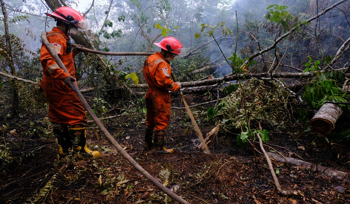Ilustrasi--Petugas melakukan pembasahan ke tanah gambut yang terbakar di Dusun Bunga Baru, Kabupaten Kubu Raya, Kalimantan Barat.