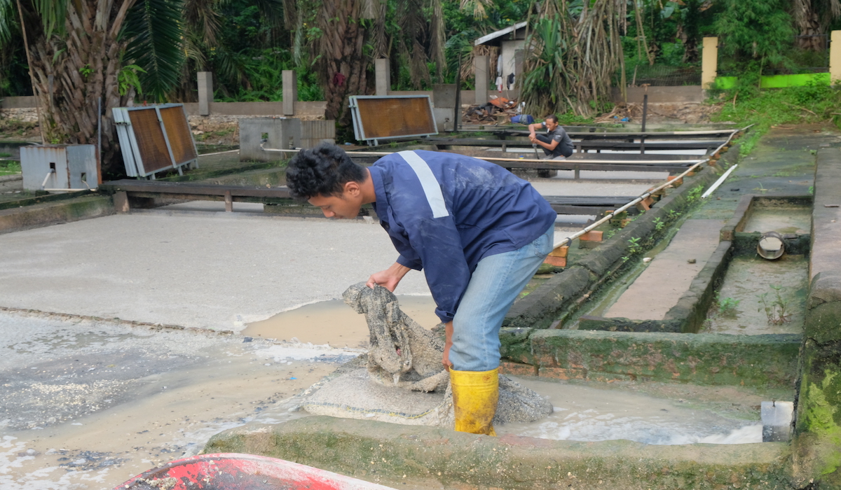 Pekerja pengolahan limbah tempe tahu membersihkan saringan limbah