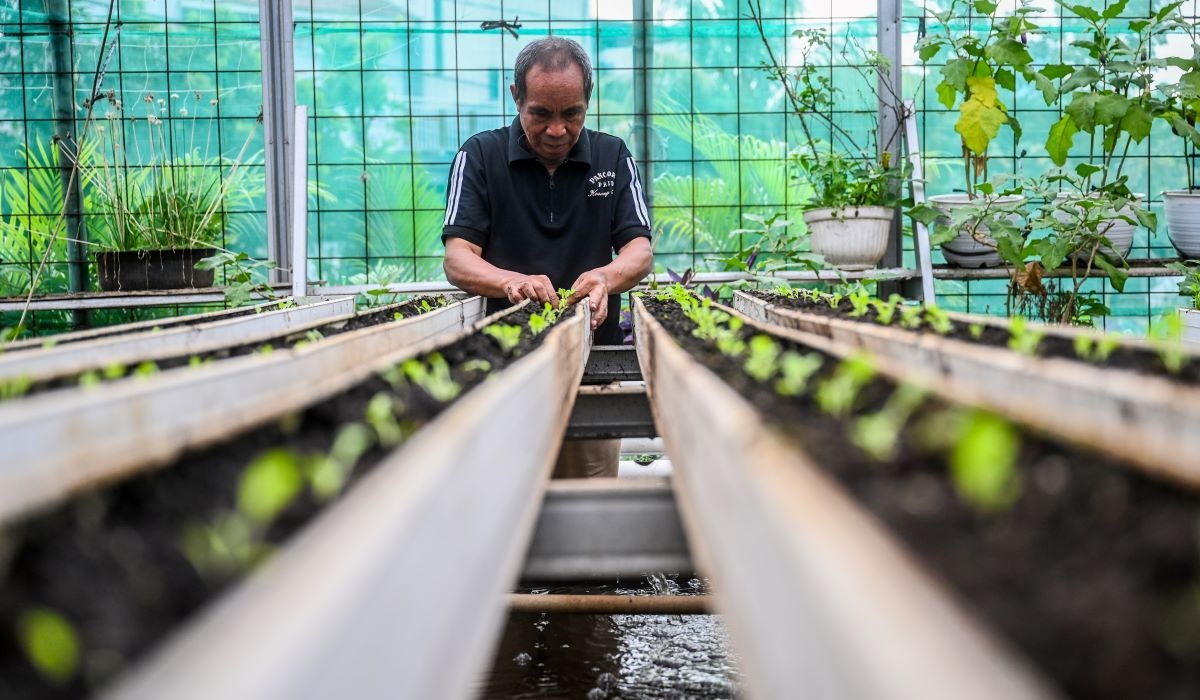 Warga yang tergabung dalam Kelompok Tani (Poktan) menanam bibit sayuran di Green House Perhimpunan Tani Pancoran (Petapa), Jakarta.
