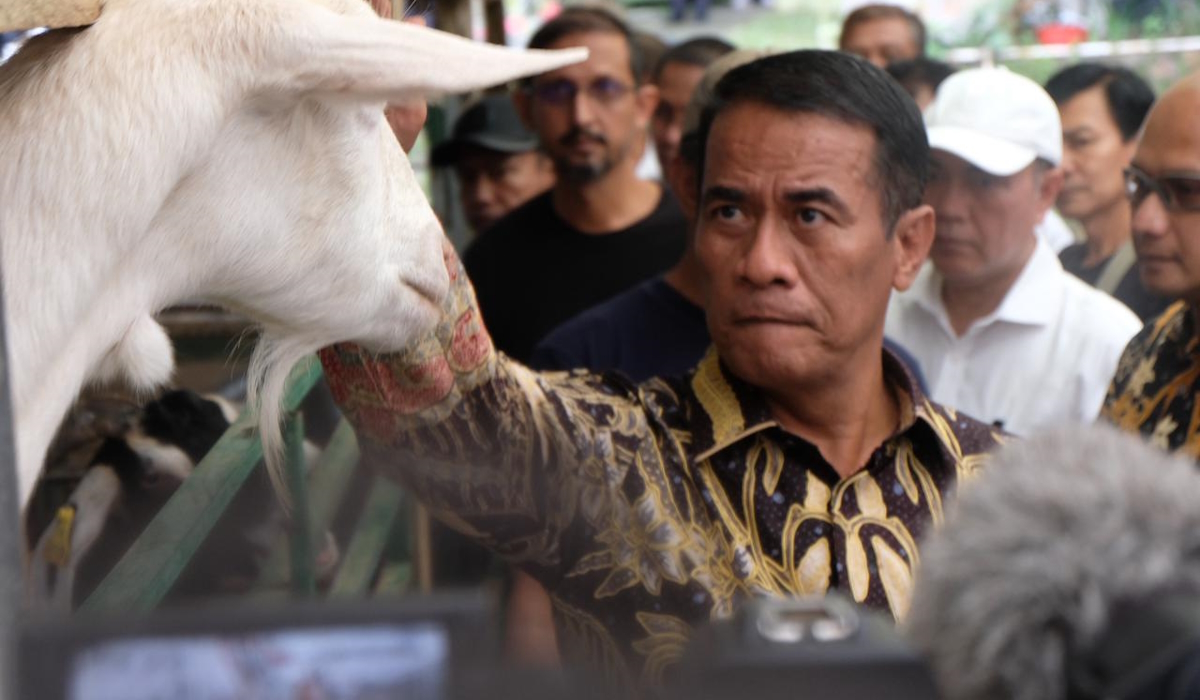 Menteri Pertanian Andi Amran Sulaiman