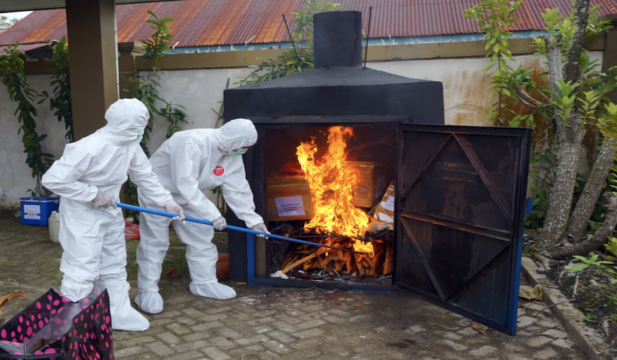 Ilustrasi pemusnahan bangkai hewan yang teridentifikasi terjangkit Flu Burung