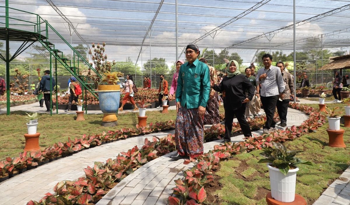 Mendes PDTT Abdul Halim Iskandar berjalan di antara tanaman Aglaonema di Aglaonema Park Sleman.