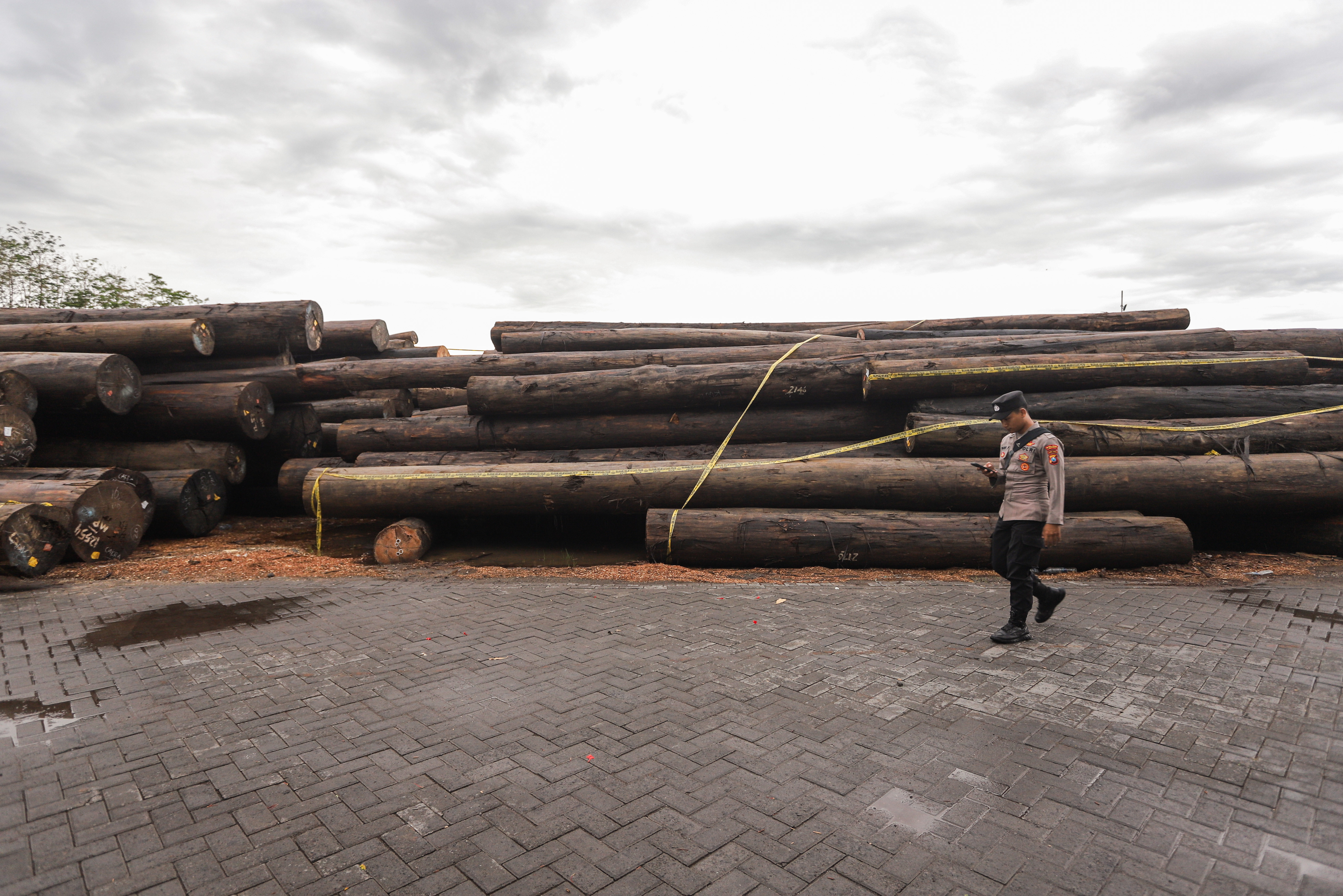 (Ilustrasi) Barang bukti kayu hasil penebangan liar (illegal logging) di Desa Paji, Lamongan, Kamis (18/1/2024)